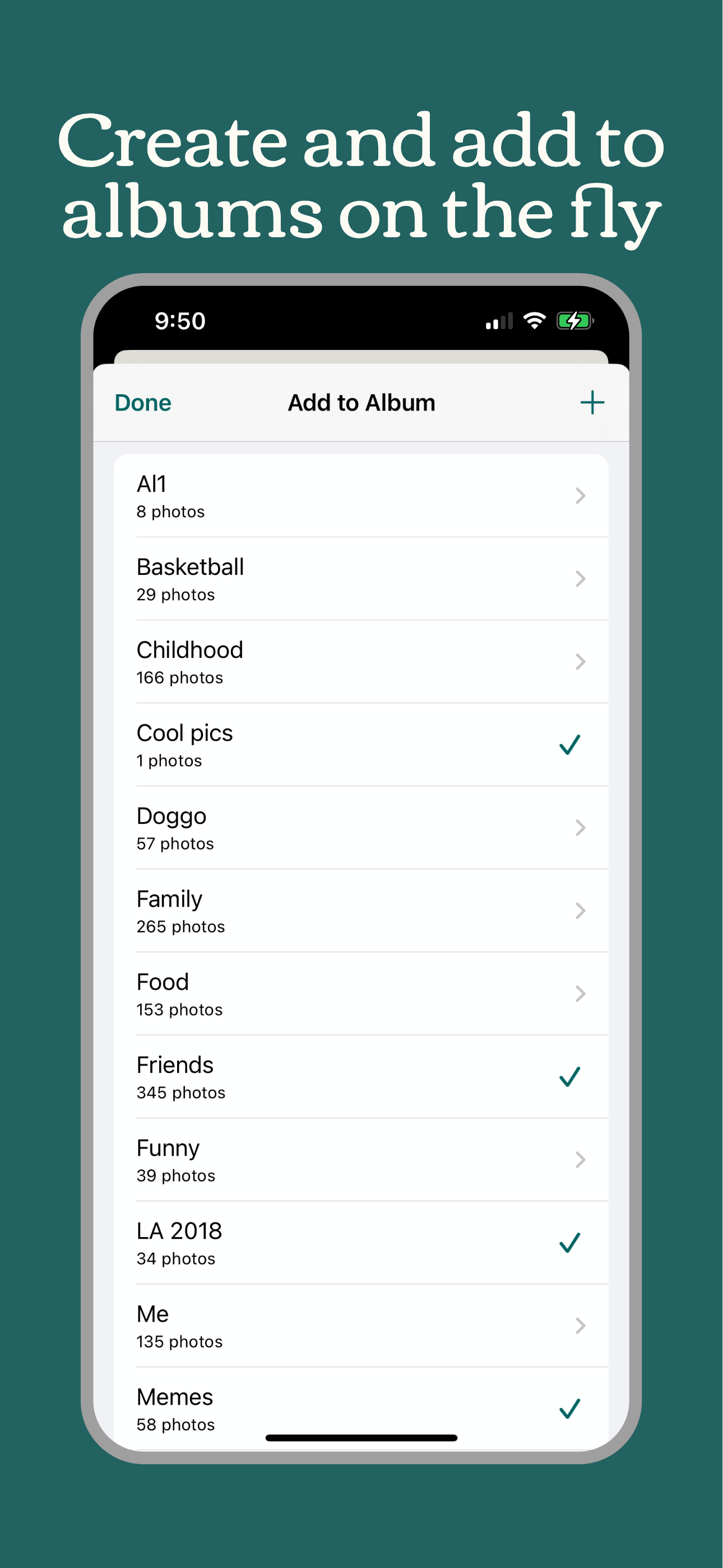 Pixitt gallery image