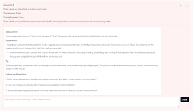 LemonQuizzy gallery image