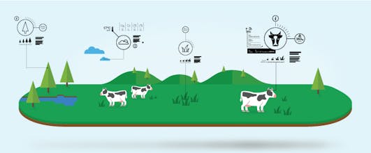 BovControl gallery image