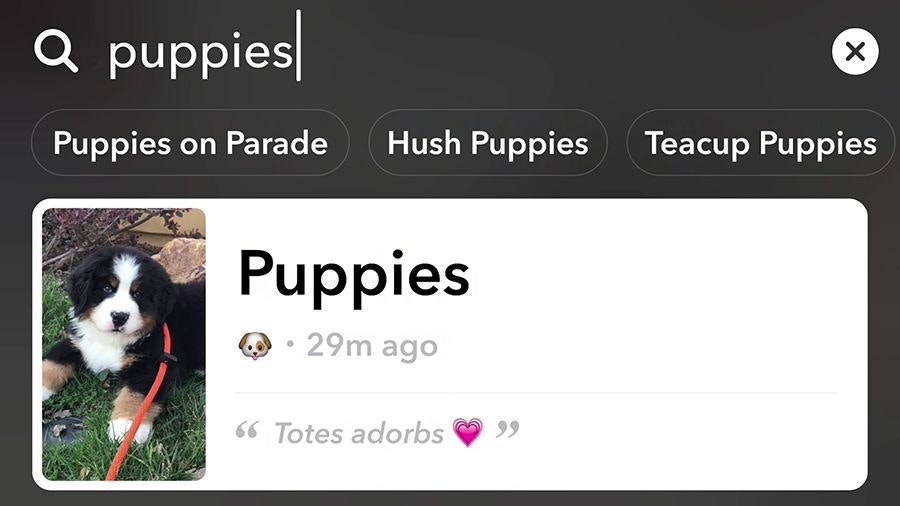 Snapchat Search gallery image