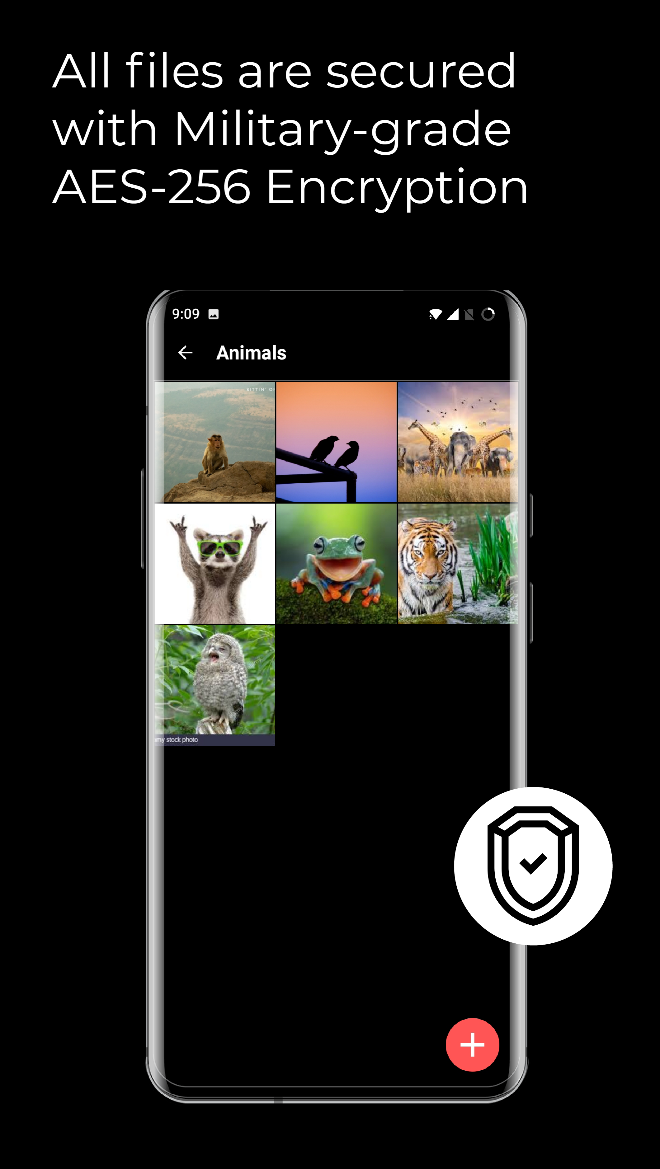 Neo Vault gallery image