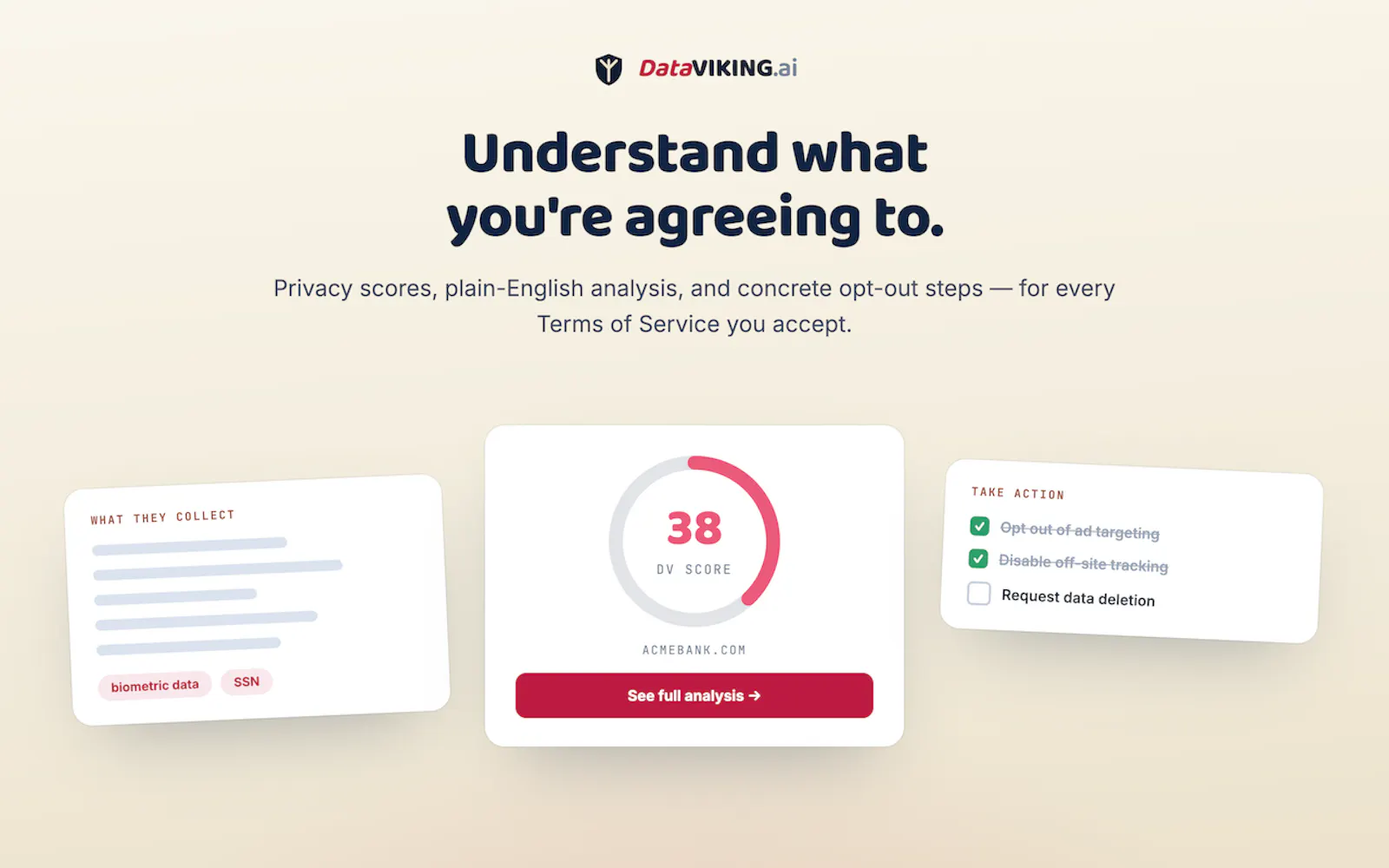 DataVIKING.ai screenshot 1