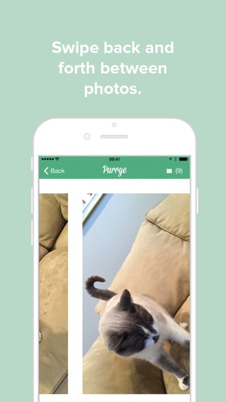 Purrge gallery image