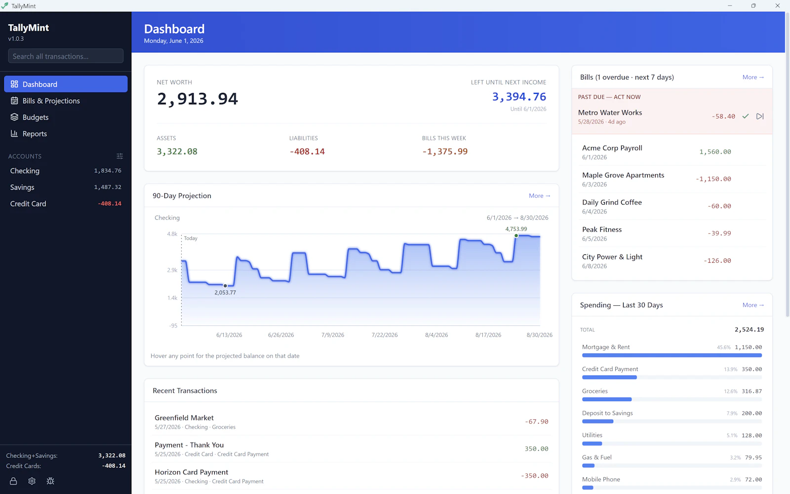 TallyMint screenshot 3