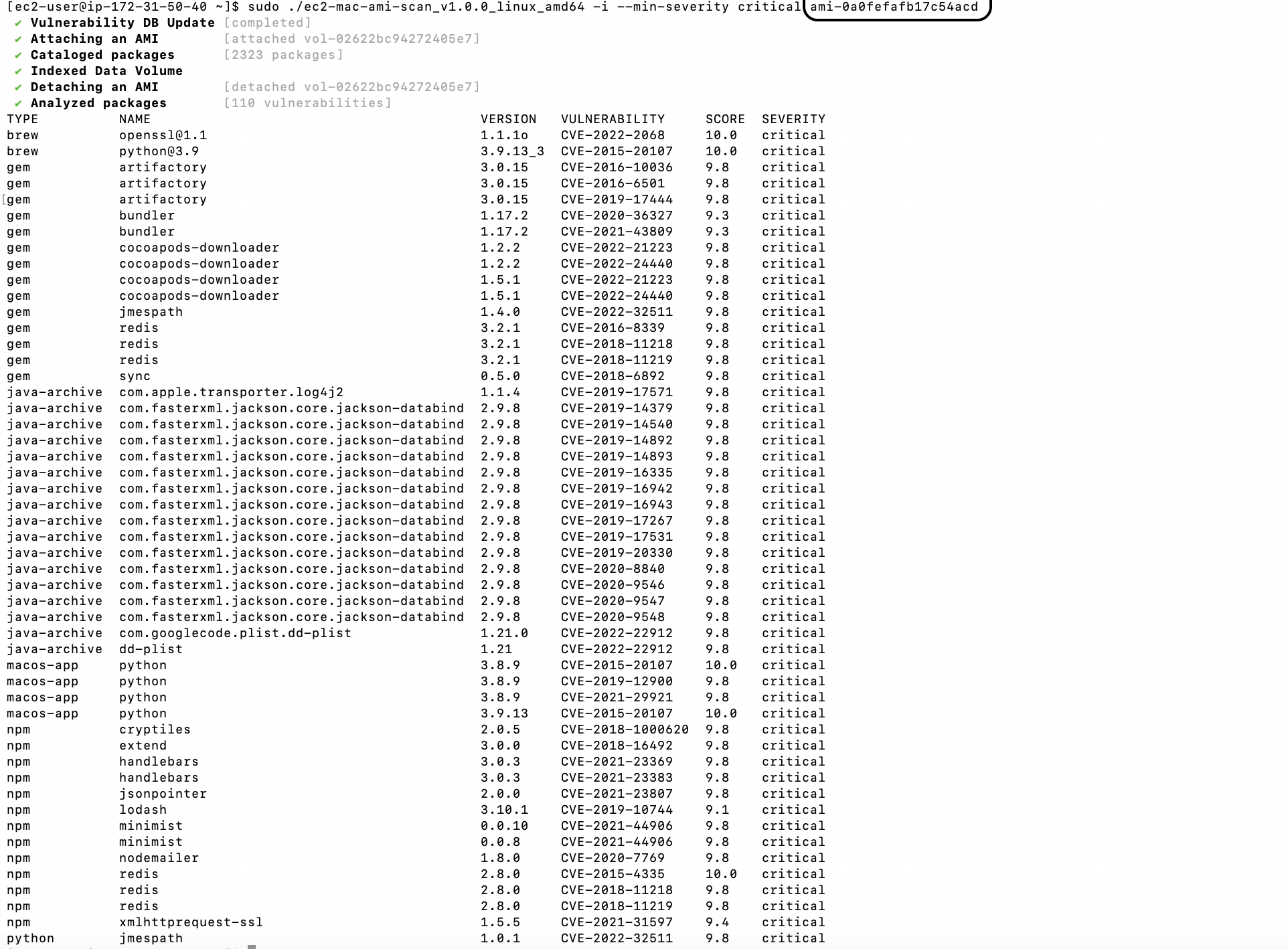EC2 MAC AMIスキャン - EC2 MAC AMIのセキュリティ脆弱性スキャナーメディア1