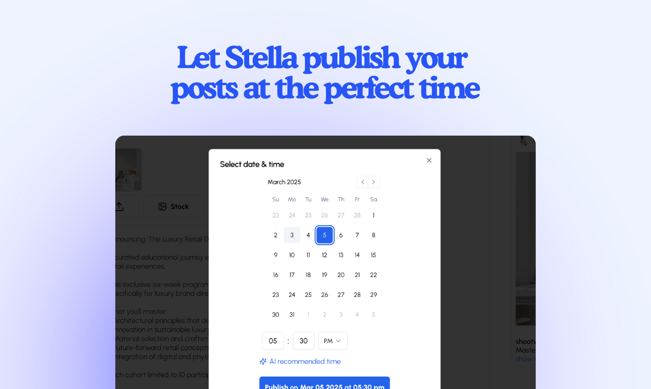 Stella gallery image