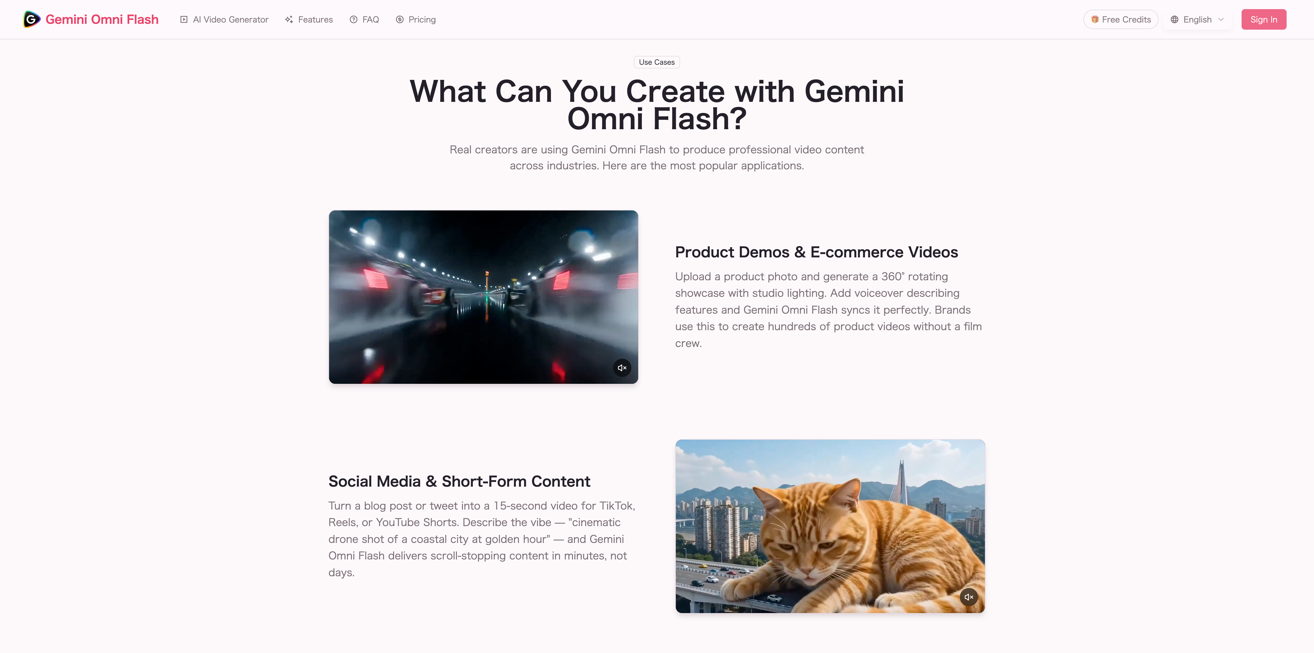 Gemini Omni Flash Video Generator  gallery image