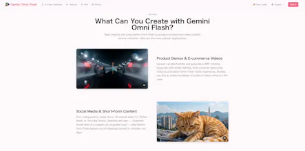 Gemini Omni Flash Video Generator gallery image