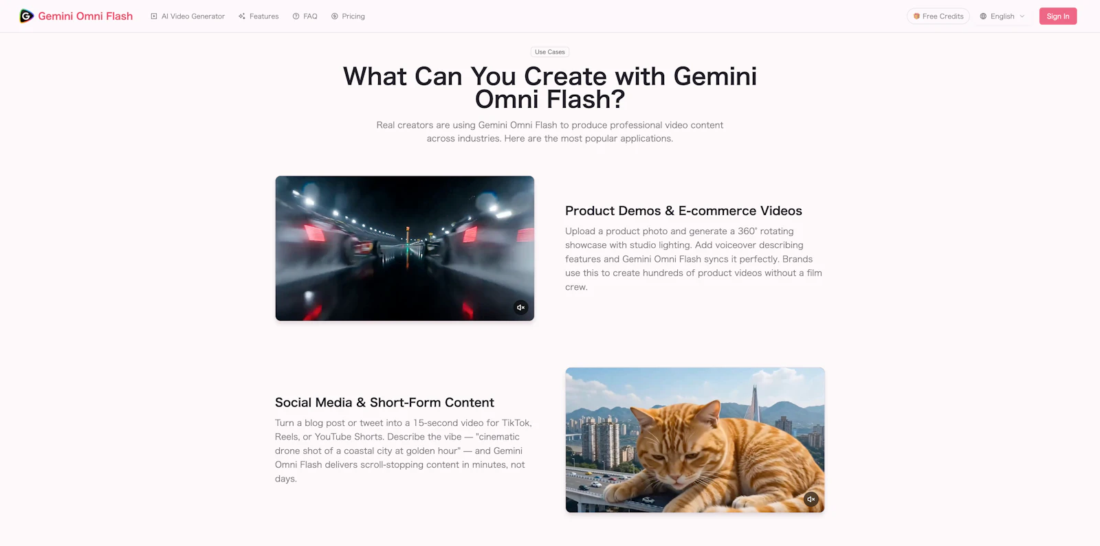 Gemini Omni Flash Video Generator  screenshot 2