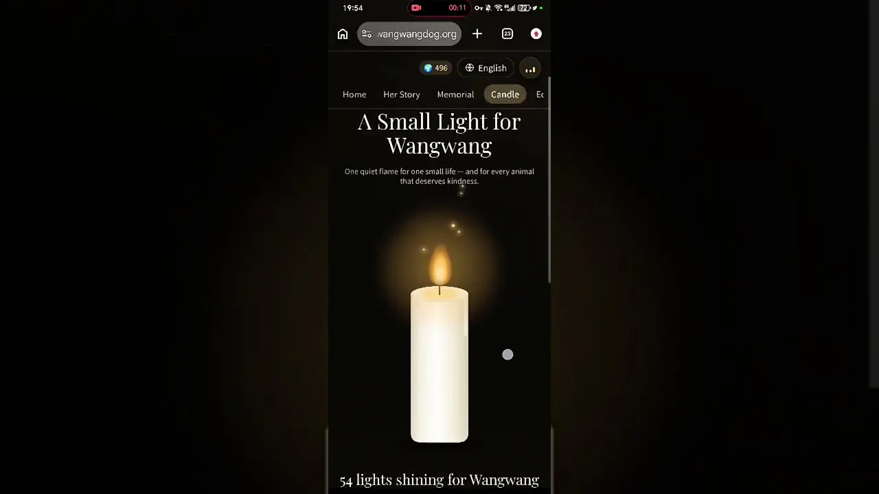 Remember  Wangwang.   gallery image