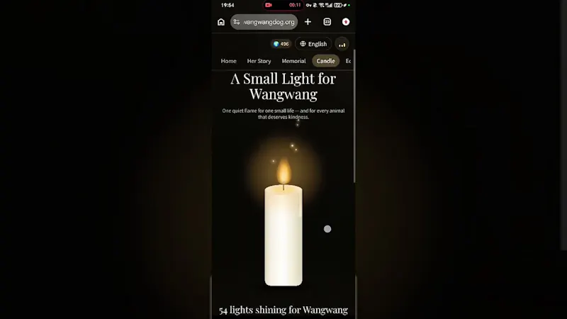 Remember  Wangwang.   screenshot 1 (video preview)