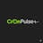 CronPulse