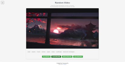 Random Video gallery image