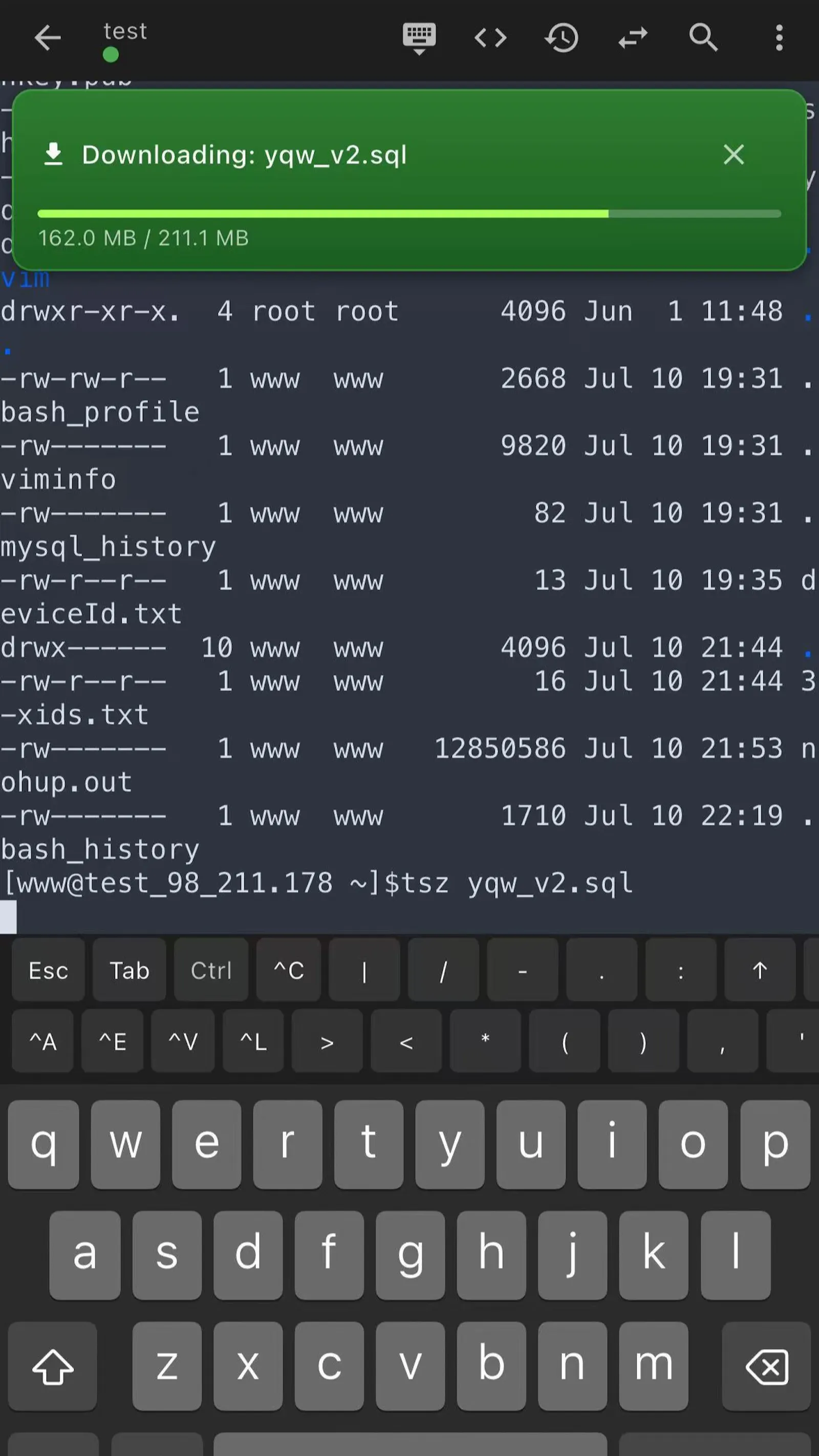 XuTerm screenshot 4