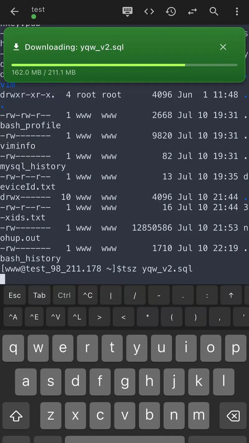 XuTerm screenshot 4