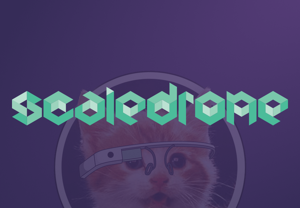 ScaleDrone gallery image