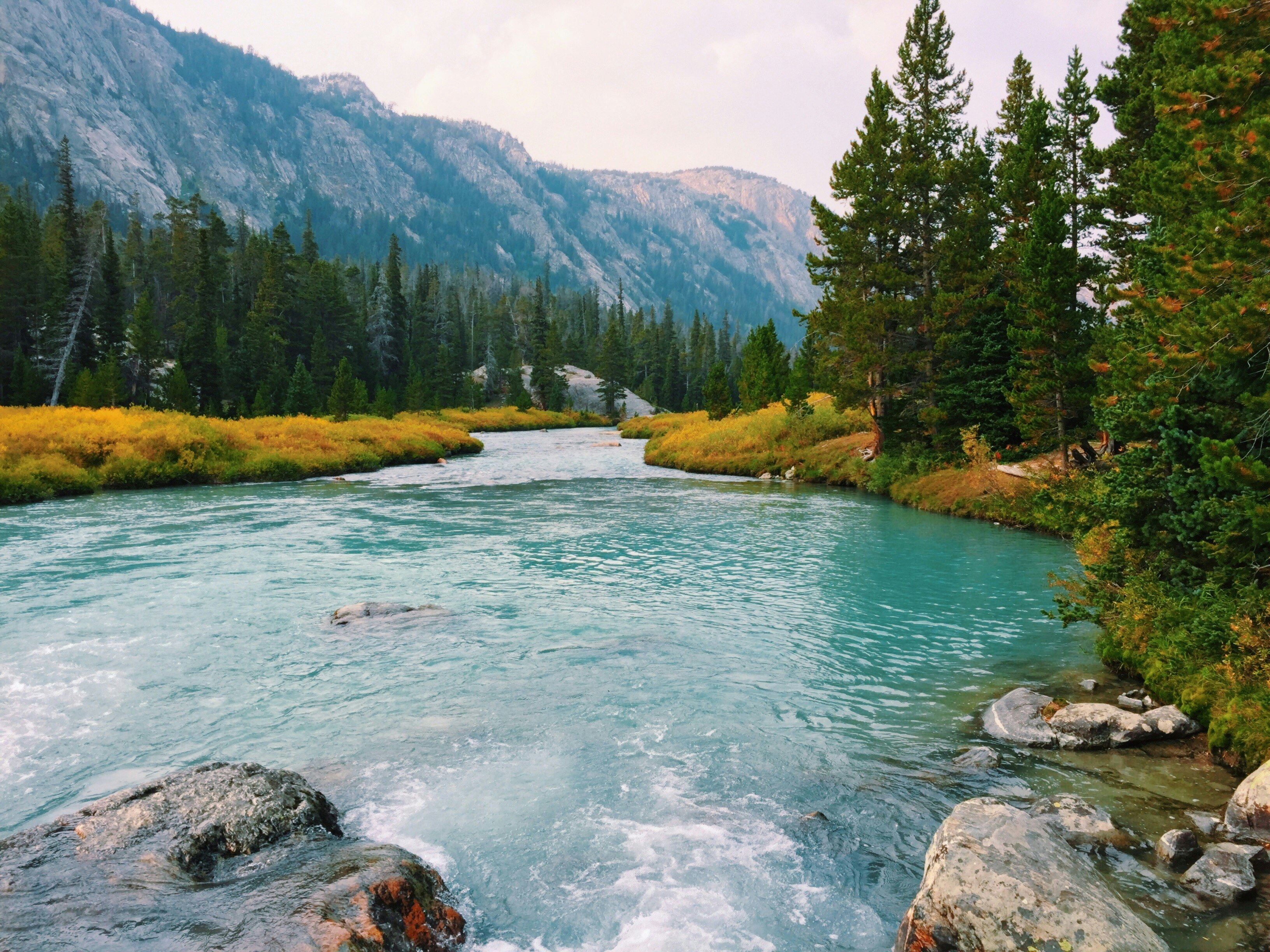 Locally gallery image