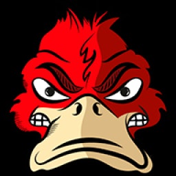 Redduck - Blockchain, Development Web3