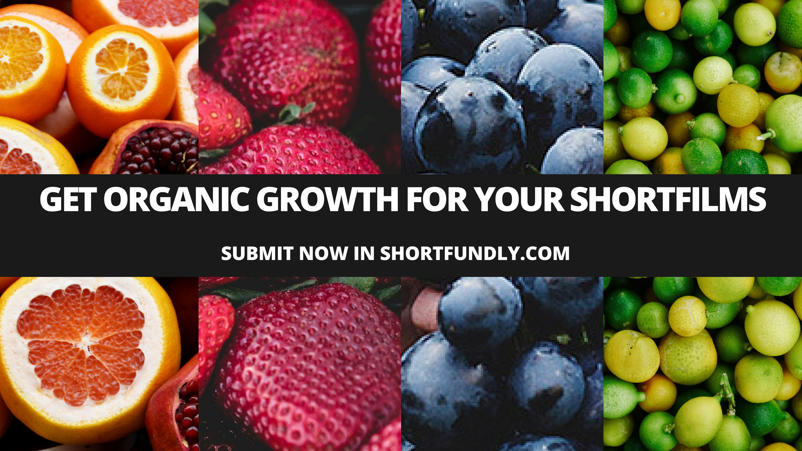 Shortfundly (Android APP) gallery image