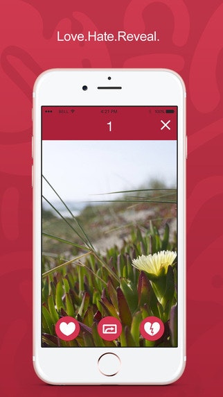 Randm. gallery image