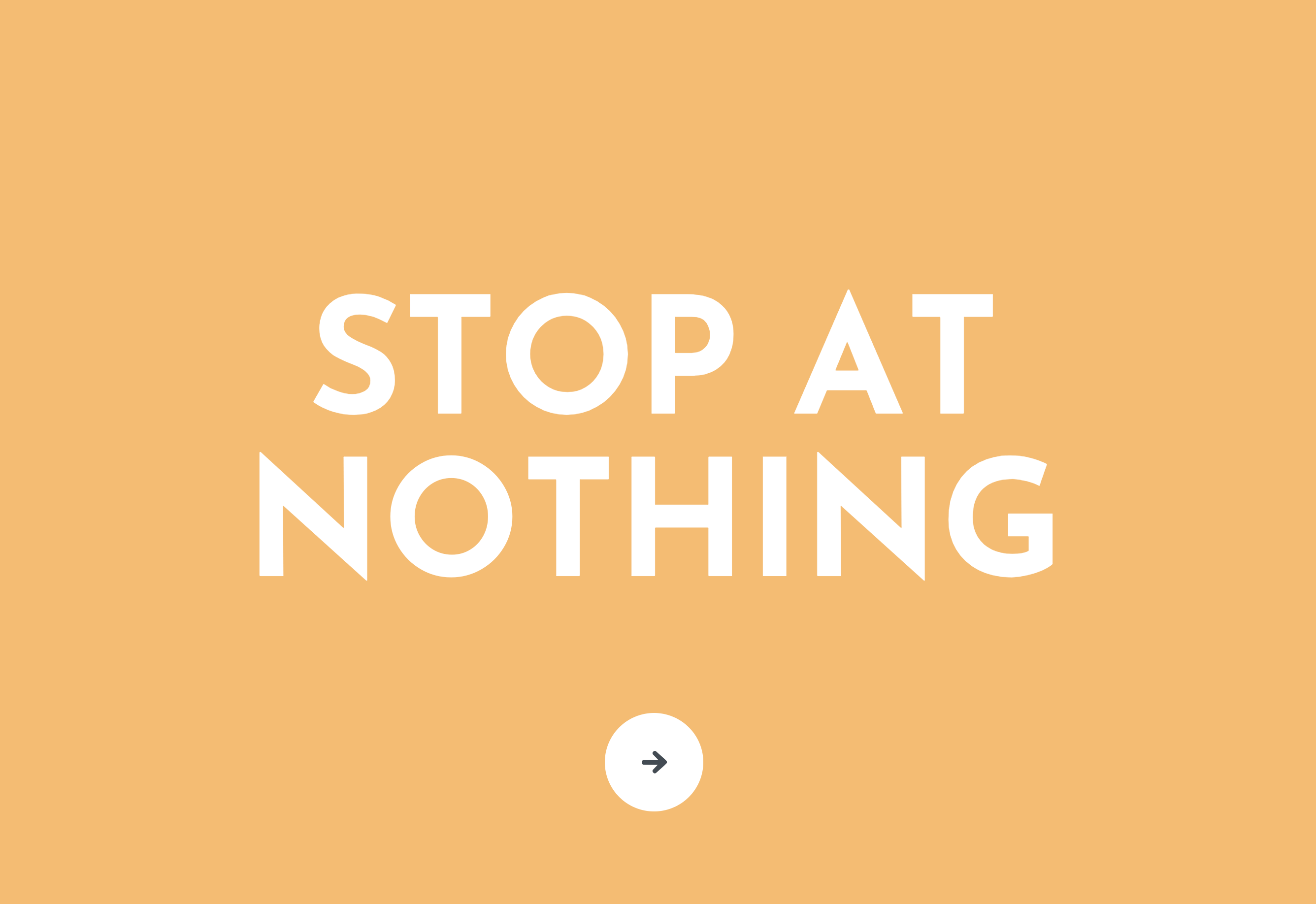 Stop at Nothing gallery image