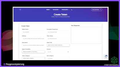 LiaaS Playground gallery image