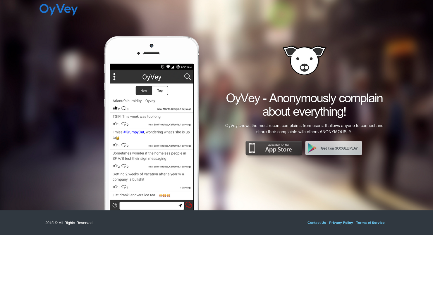 Oy Vey  gallery image