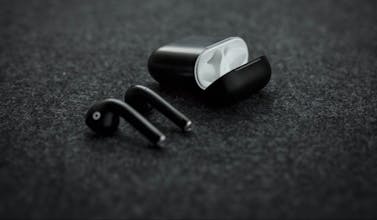 Black Pods are beautiful and sleek gallery image