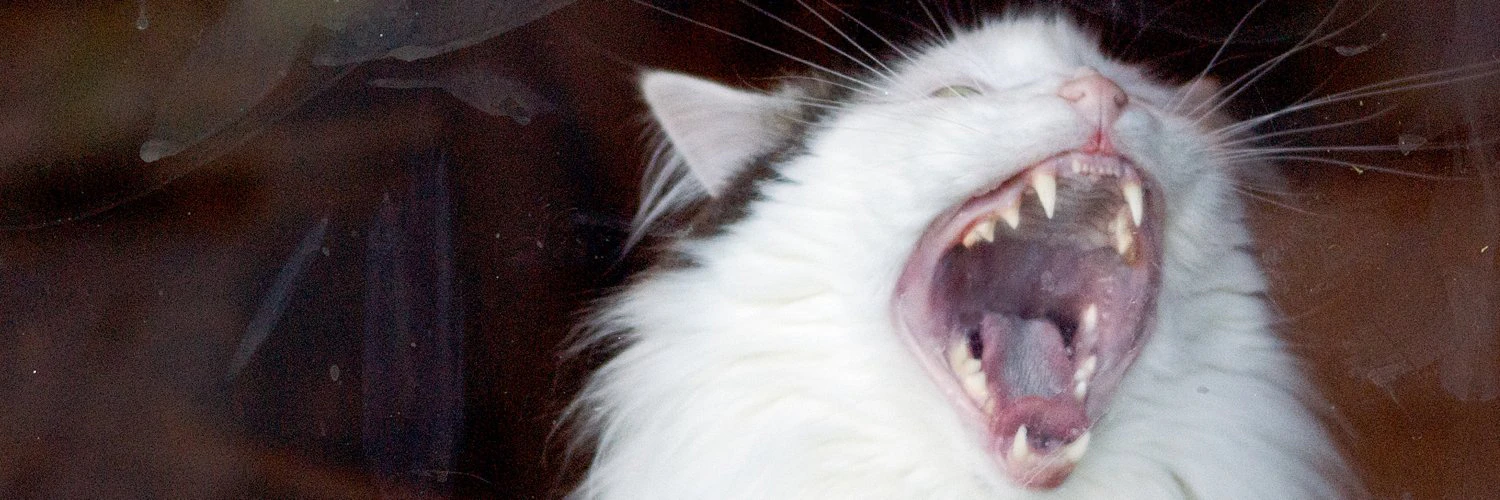 Brett Terpstra cover