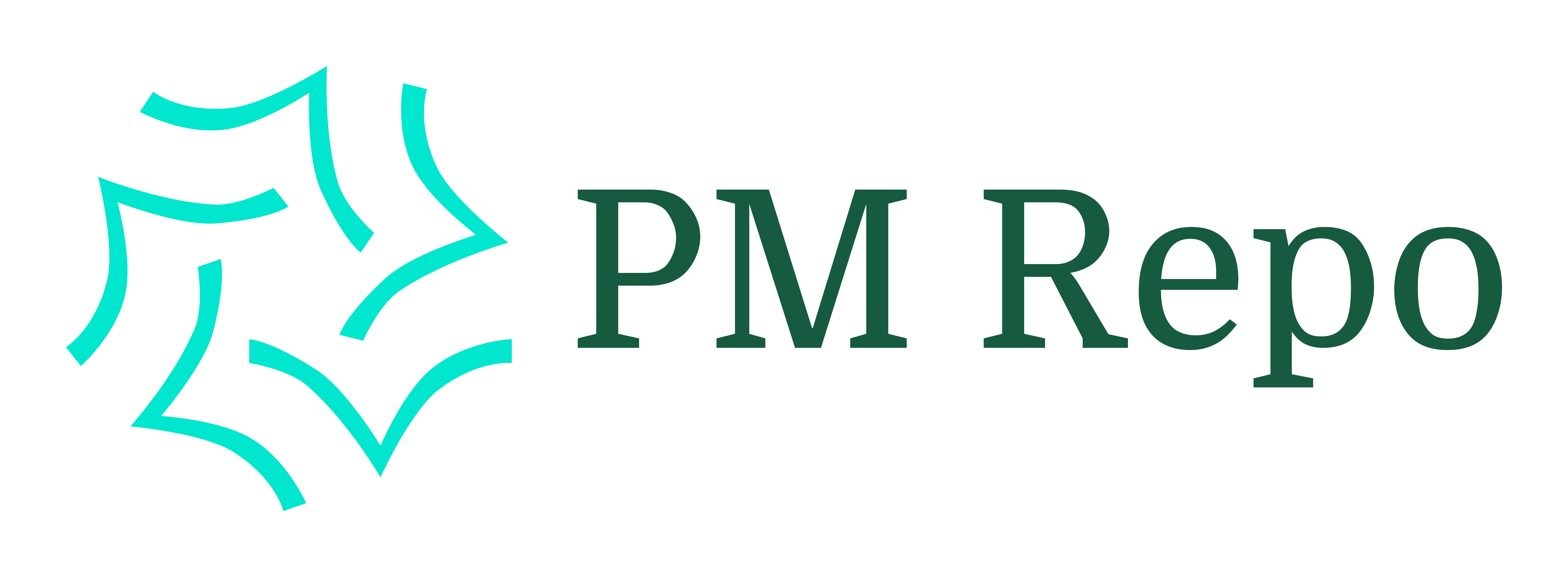 PM-Repo gallery image