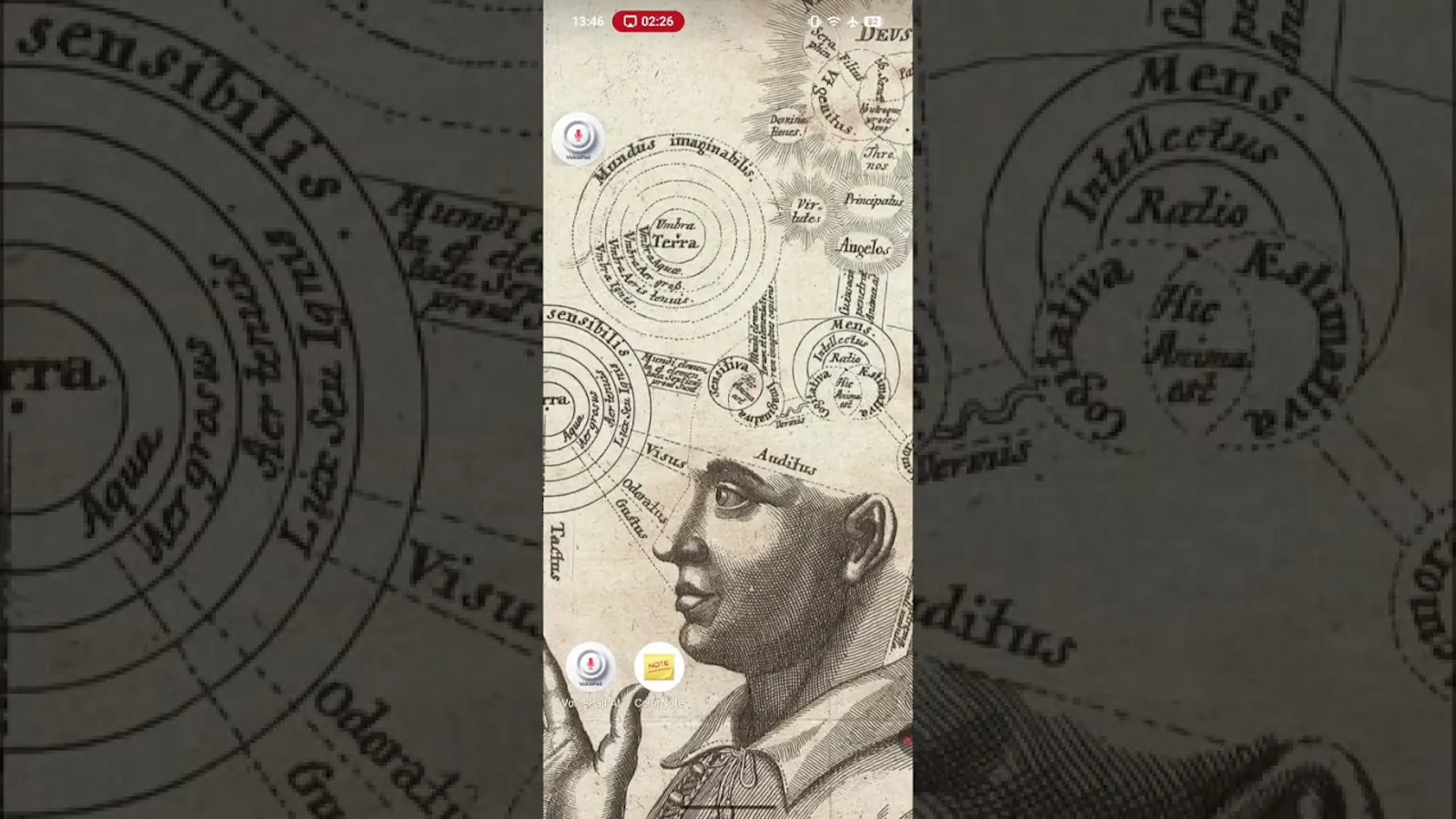 VoicePad AI screenshot 1 (video preview)