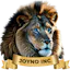 Joyno Media Inc.