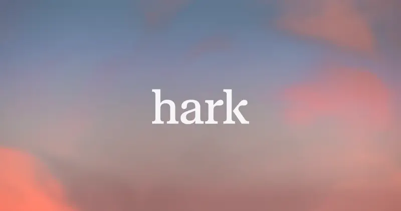Hark screenshot 2