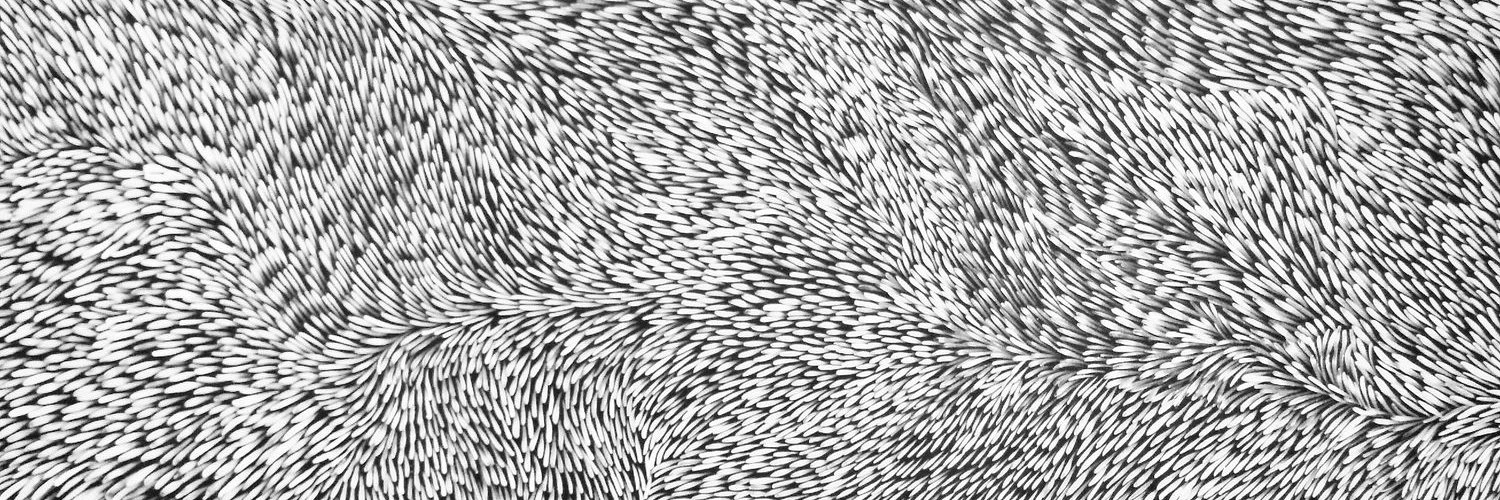 Andrew Ciobanasiu cover