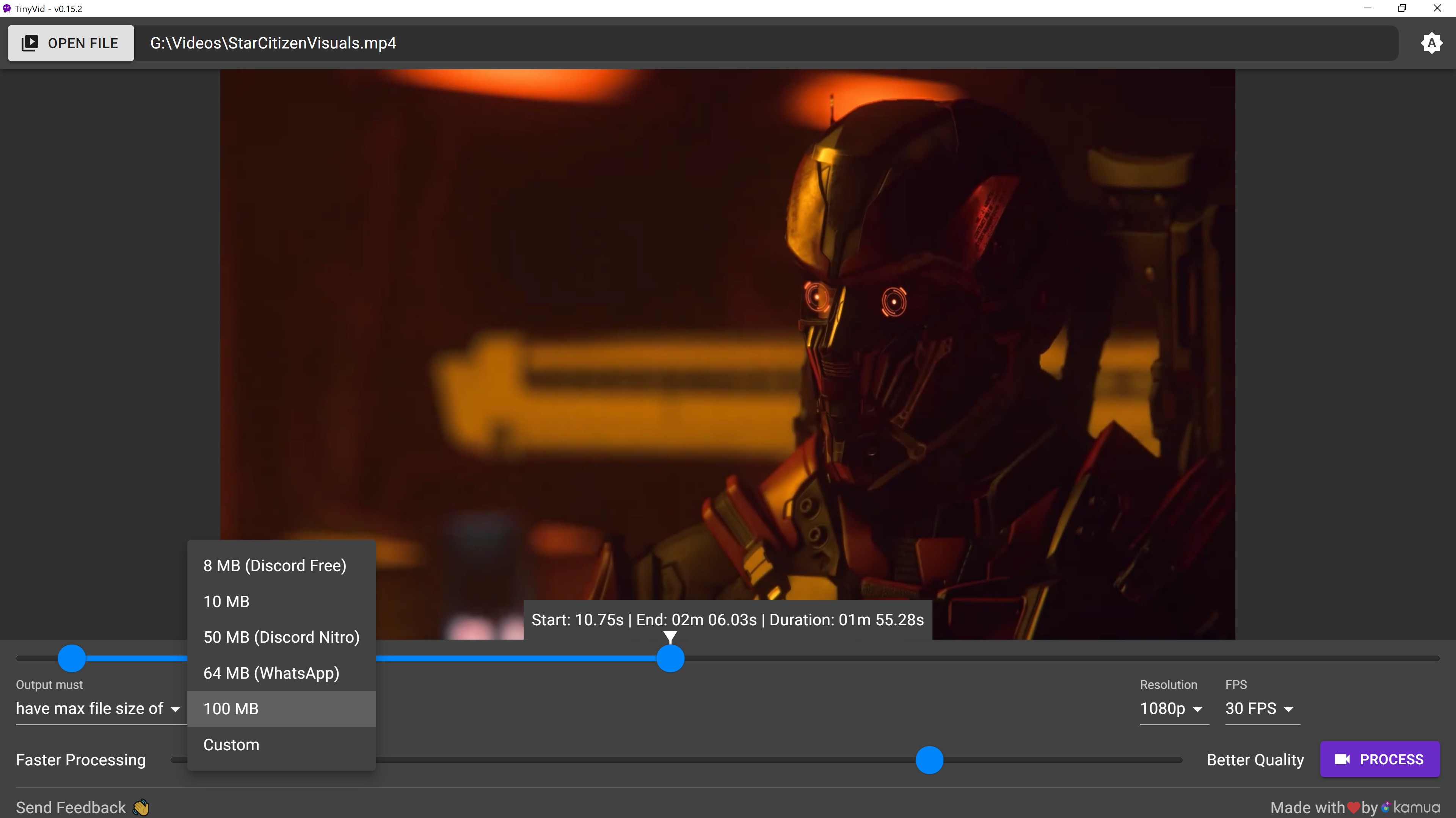 TinyVid gallery image