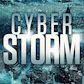 Cyberstorm