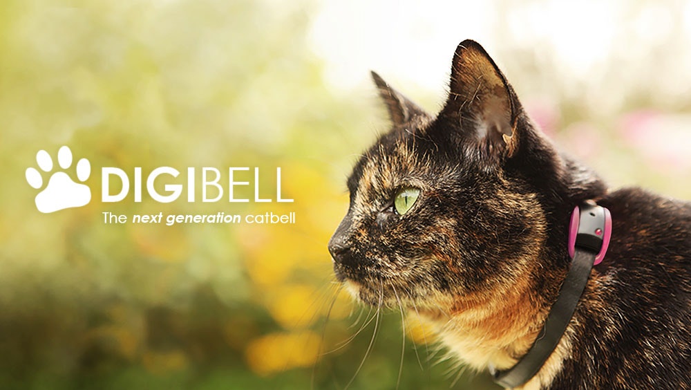 Digibell gallery image