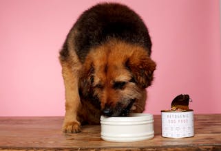 ROCKETO gallery image