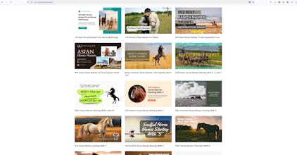 Love You Horse.com gallery image