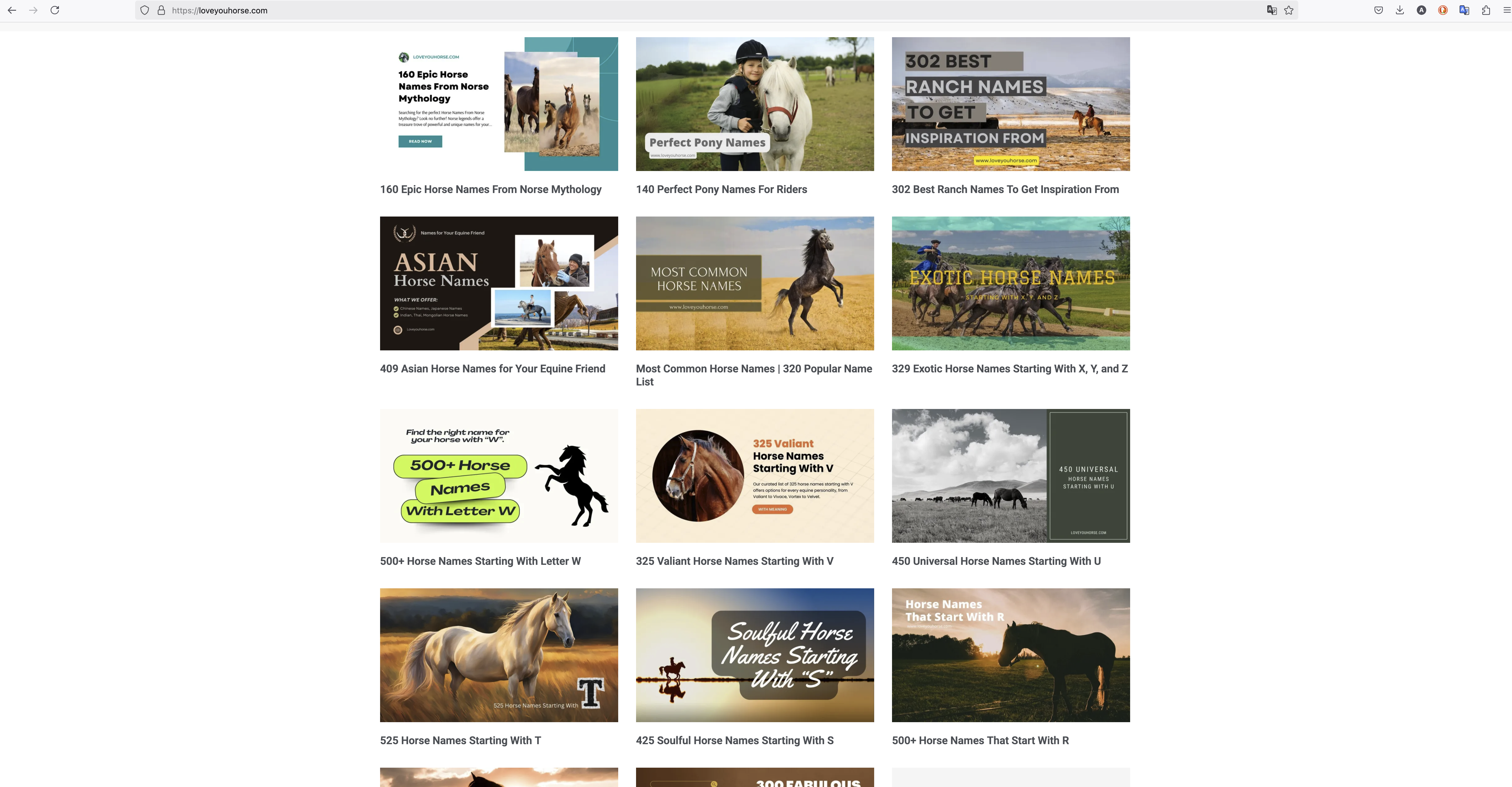 Hou van je paarden.com - Alles paarden paarden in één vertrouwde bron media 4