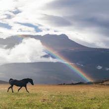 AI Photo Wizard gallery image