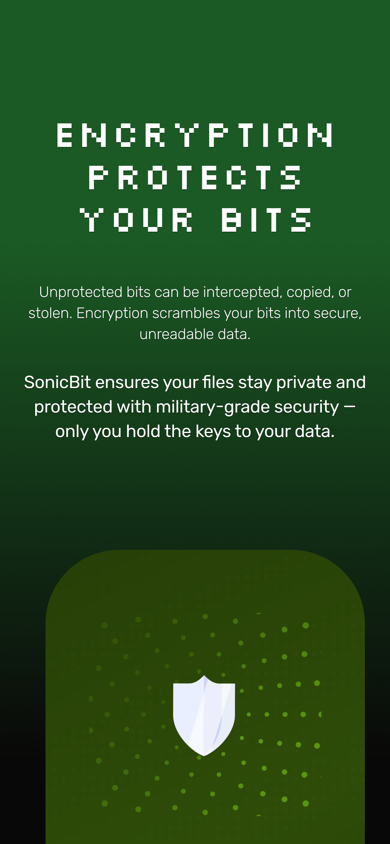 SonicBit - Cloud & Seedbox gallery image