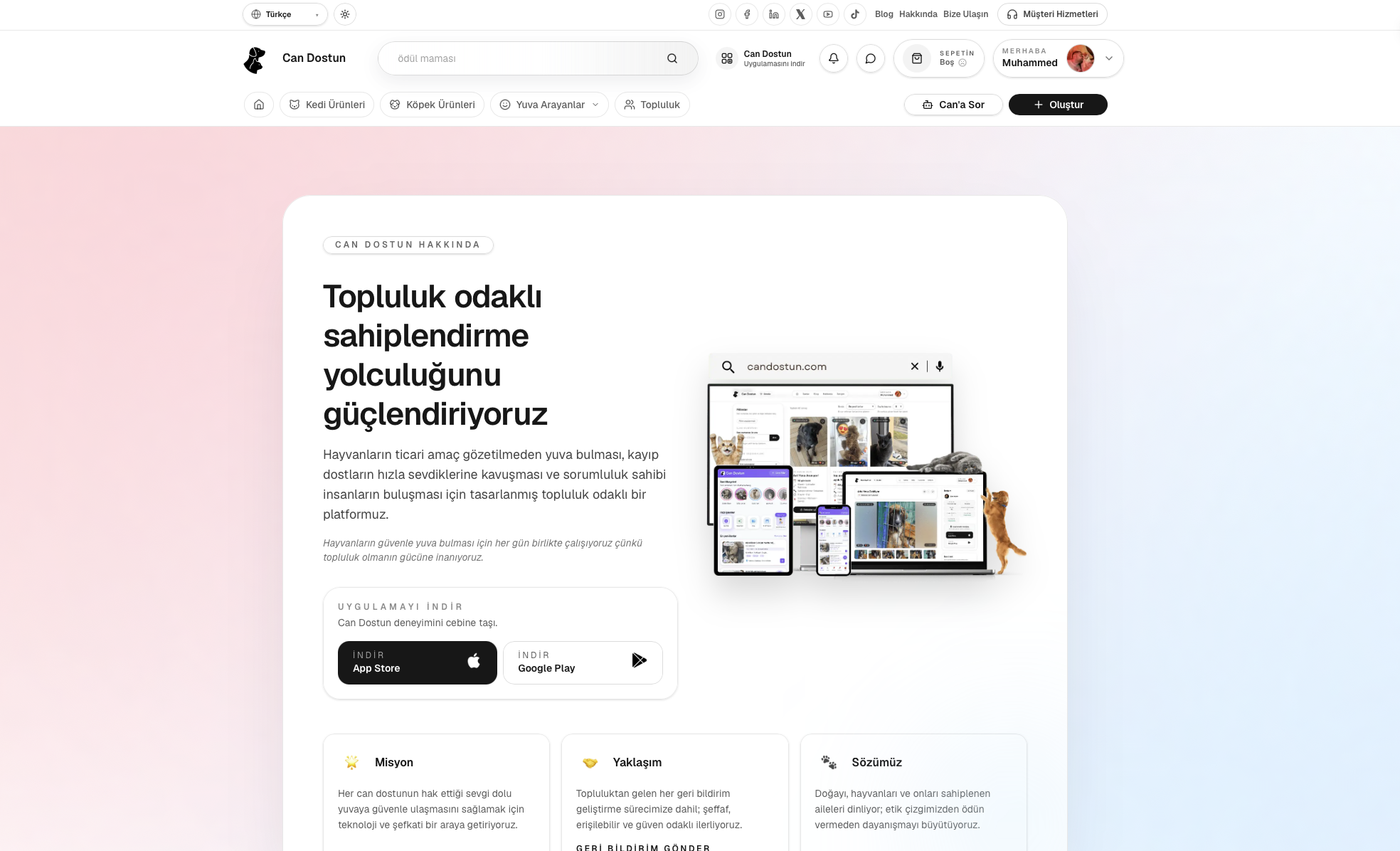 Can Dostun gallery image