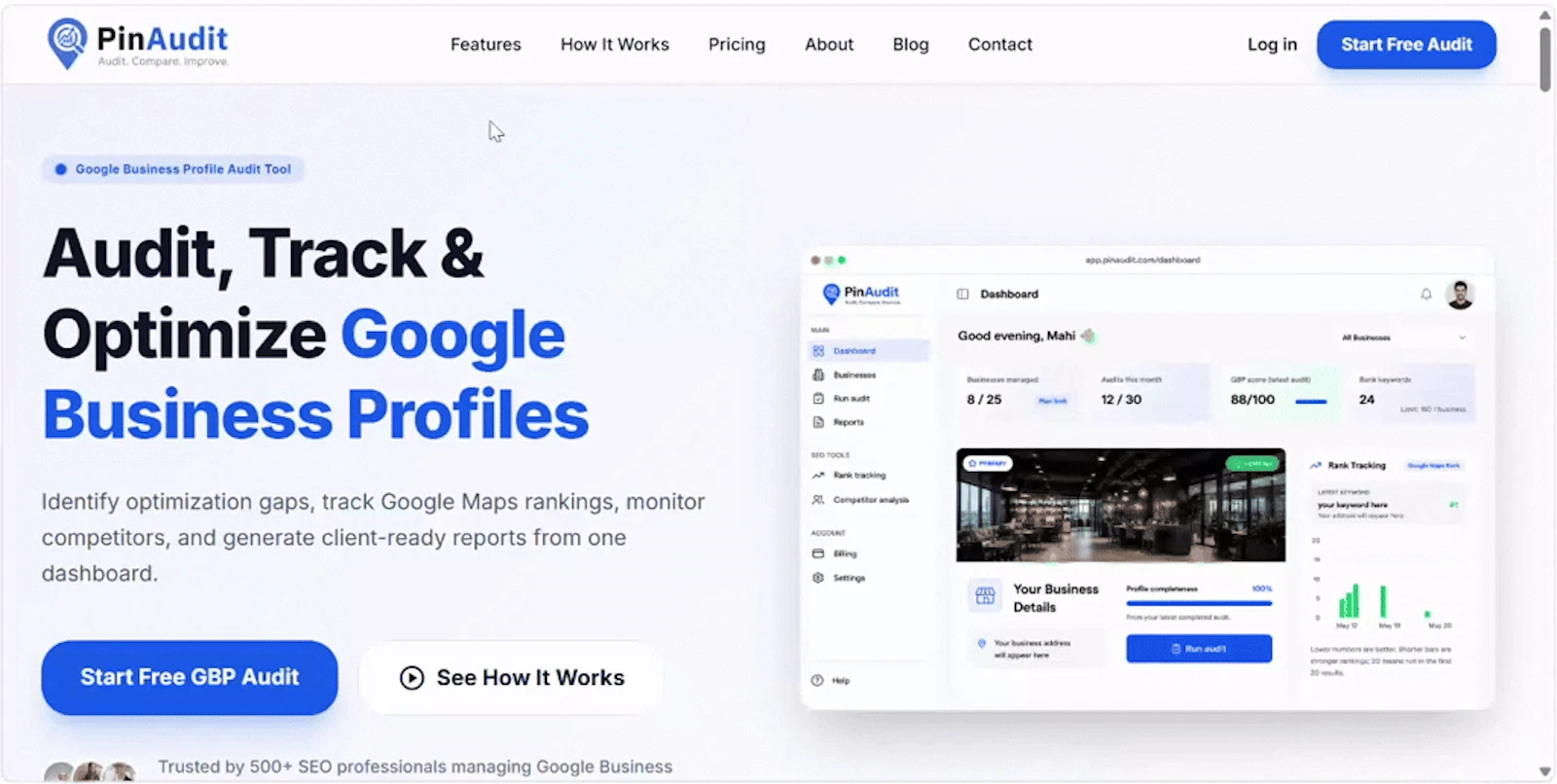 PinAudit screenshot 1 (video preview)
