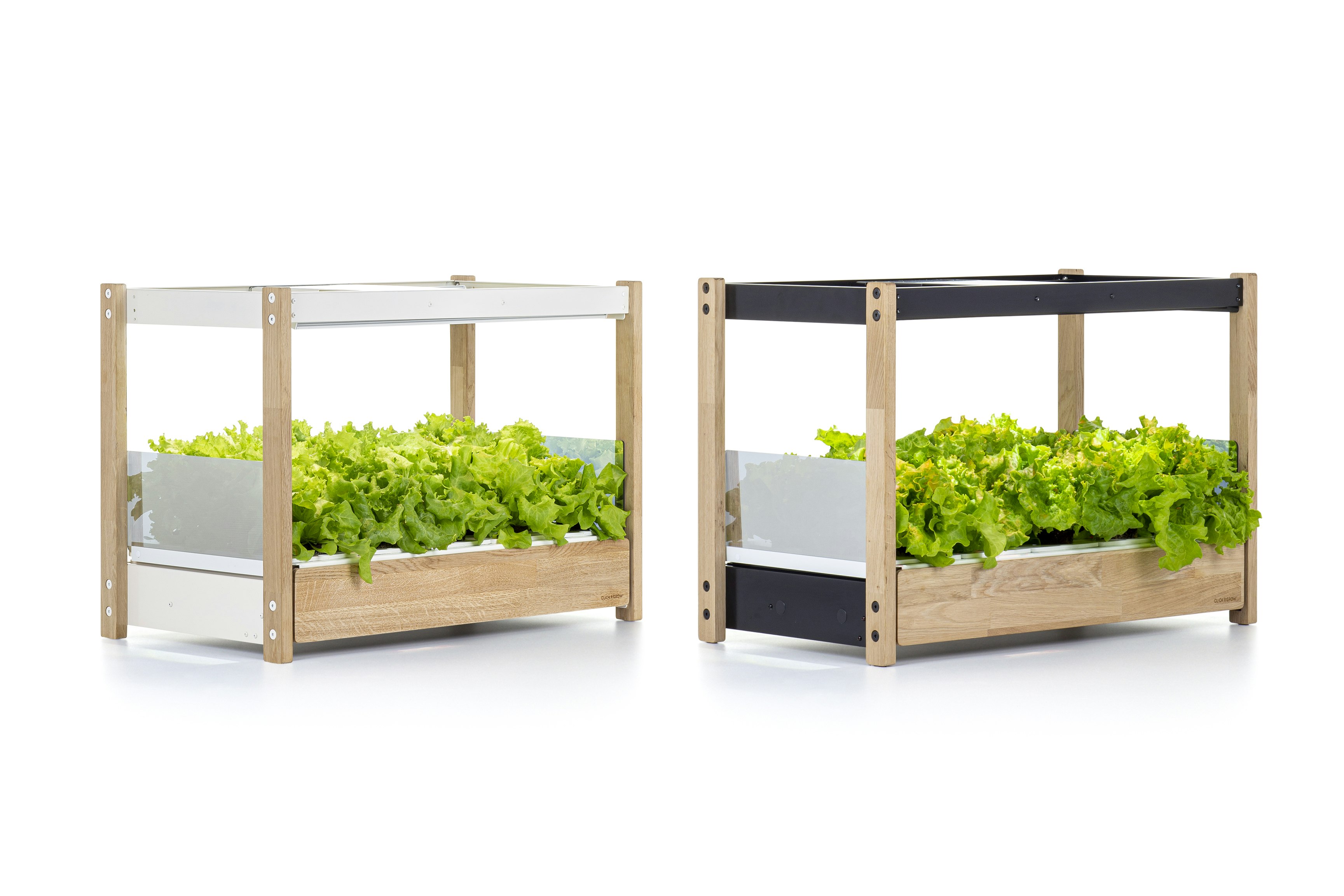 The Click & Grow 25 gallery image