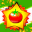 Heirloom Rotten Tomatoes