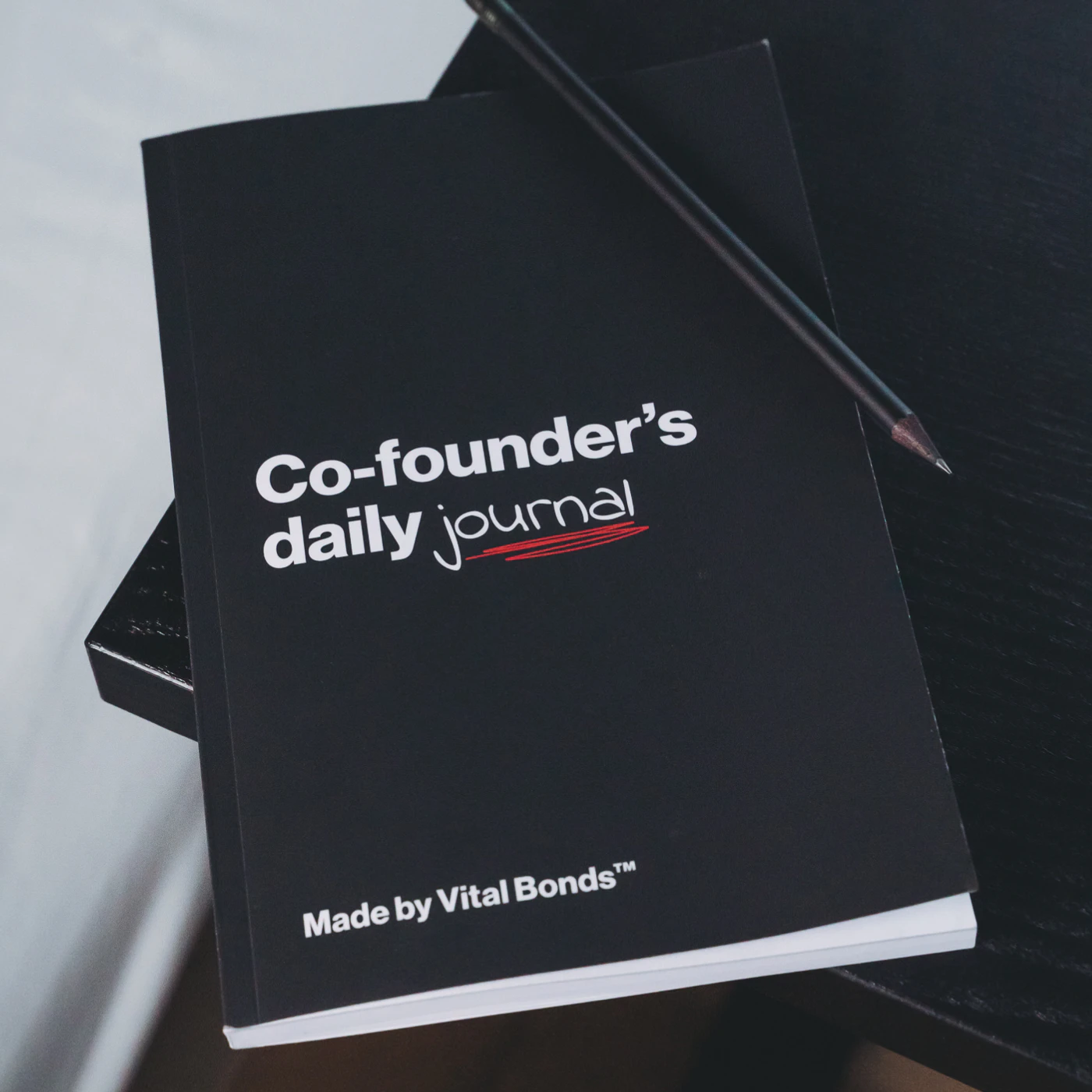 Co-founder's Daily Journal
