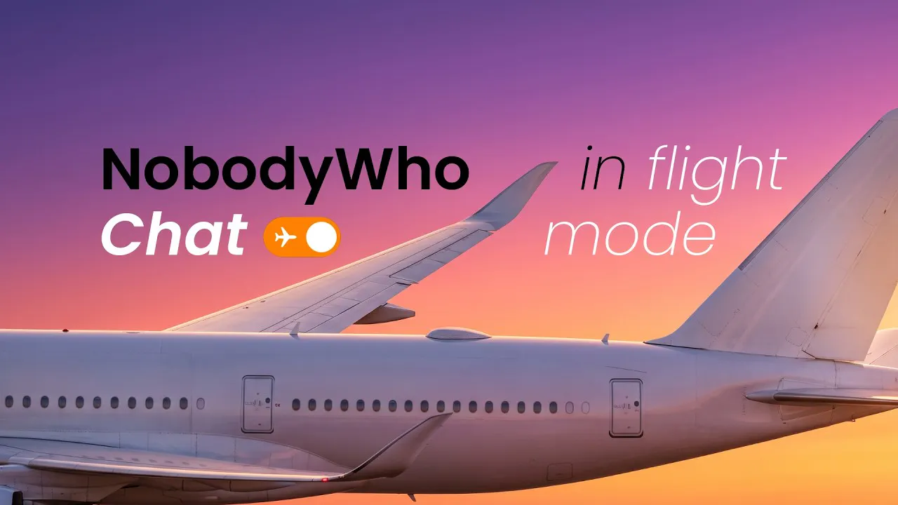 NobodyWho gallery image
