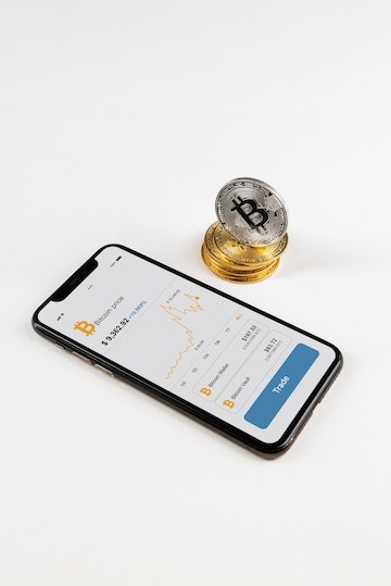 White Label Payment Service Provider