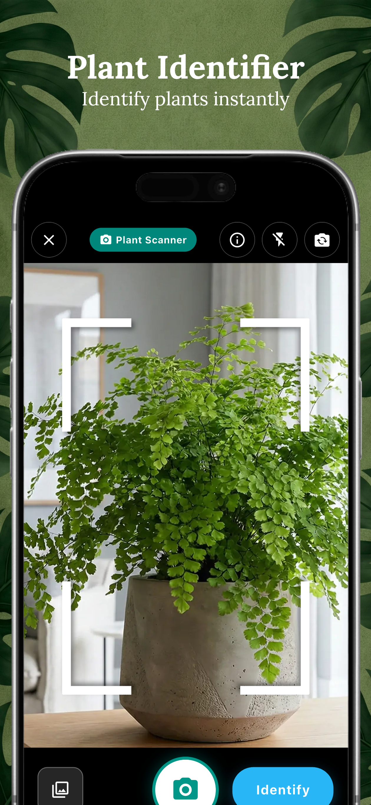 Plantology: Plant Care & ID gallery image
